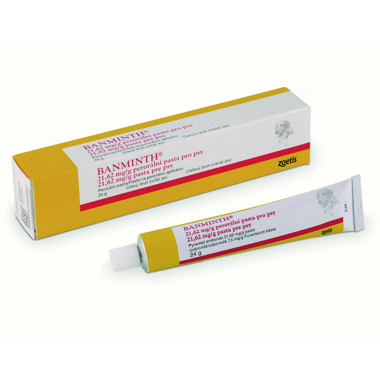 BANMINTH 21,61 mg/g perorální pasta 24 g