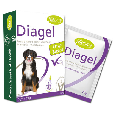Diagel pro velké psy