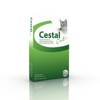 Cestal Cat 80/20 mg žvýkací tablety pro kočky