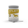 ATLET BS