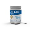 ATLET MSM
