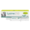 Lysine 250 pro kočky